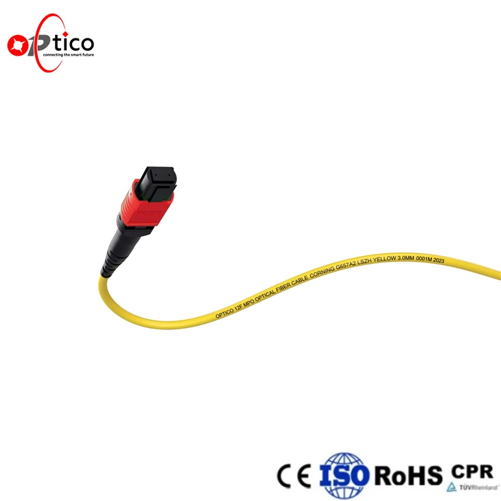 24F AR Coated MPO MTP Test Cable factory 24F AR Coated MPO MTP Test Cable factory
